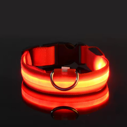 Correa LED de nailon para perro, seguridad nocturna, parpadeante, que brilla en la oscuridad, luminosa, fluorescente, para mascota