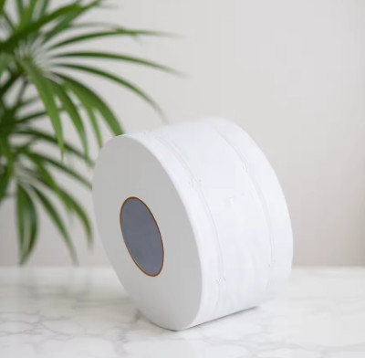 24 rollos de papel higiénico grande, papel higiénico de pulpa de madera suave de primera calidad para uso en el hogar y la oficina, paquete a granel