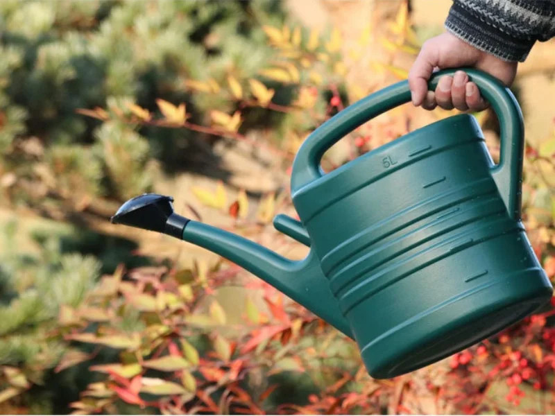 Regadera de plástico de 5L, regadera esencial para jardín