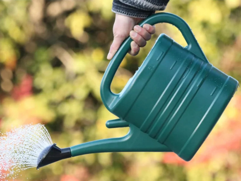 Regadera de plástico de 5L, regadera esencial para jardín