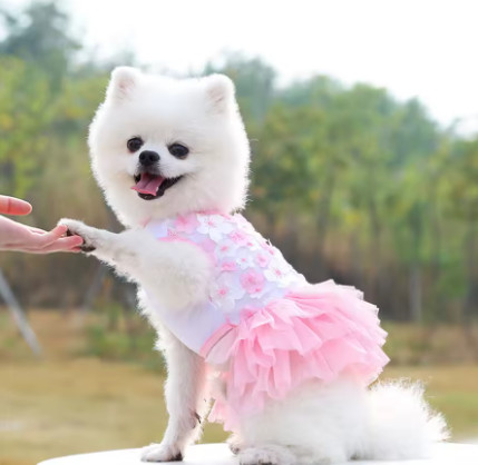 Vestido floral para perros para razas pequeñas: poliéster tejido, estilo jersey, ropa transpirable para mascotas para perros y gatos, perfecto para juguetes y M