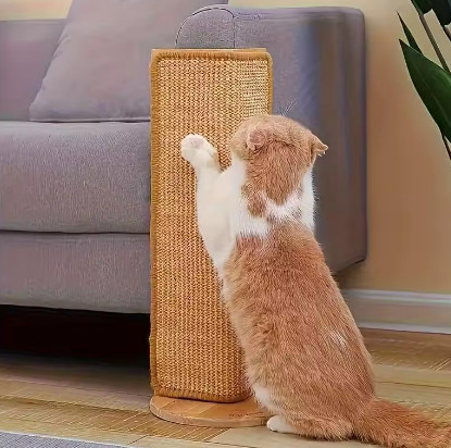 Tabla para rascar gatos y conejos, cuerda de cáñamo duradera, diseño de seguridad para sofá sin desorden, adhesivo Invisible mágico, ejercicio multicapa, 1 ud.