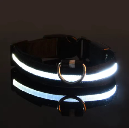 Correa LED de nailon para perro, seguridad nocturna, parpadeante, que brilla en la oscuridad, luminosa, fluorescente, para mascota